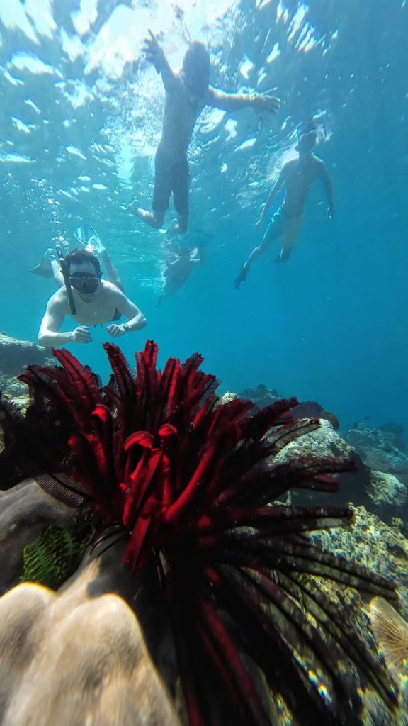 gili gede boat charter
