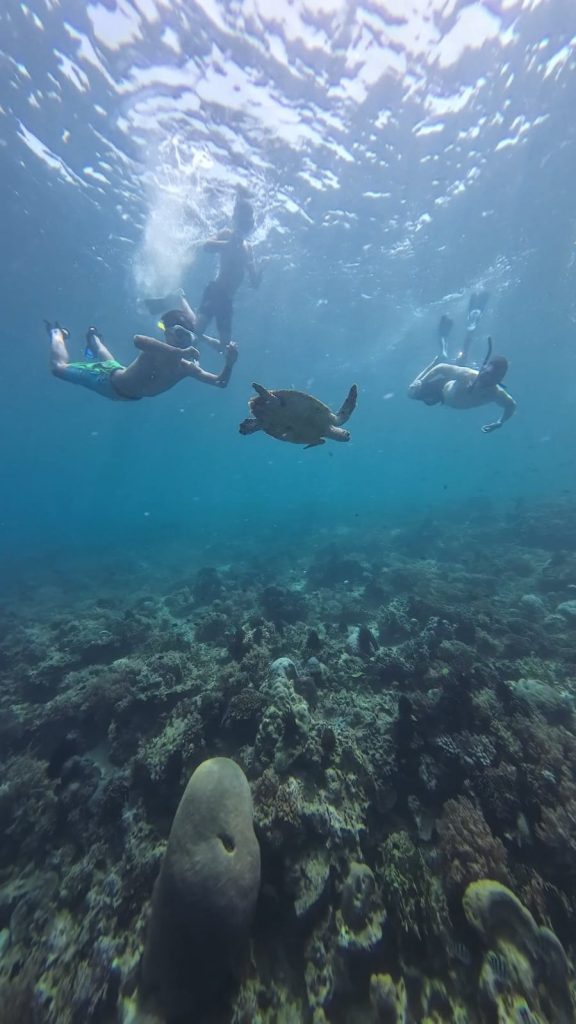 gili renggit snorkeling