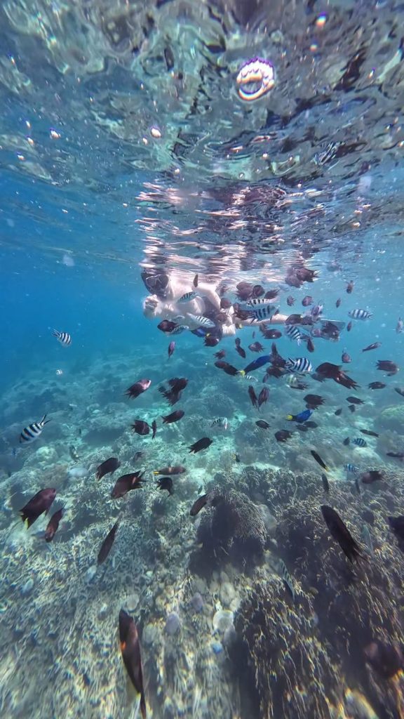 lombok snorkeling equipments rental