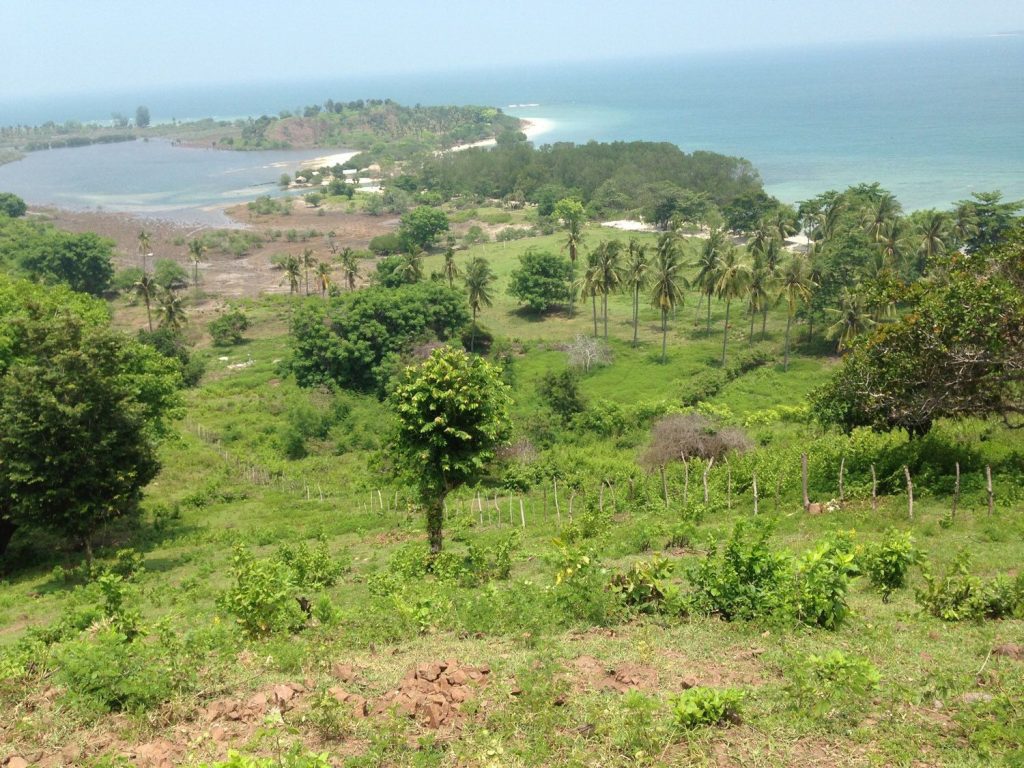 view from the hill part
