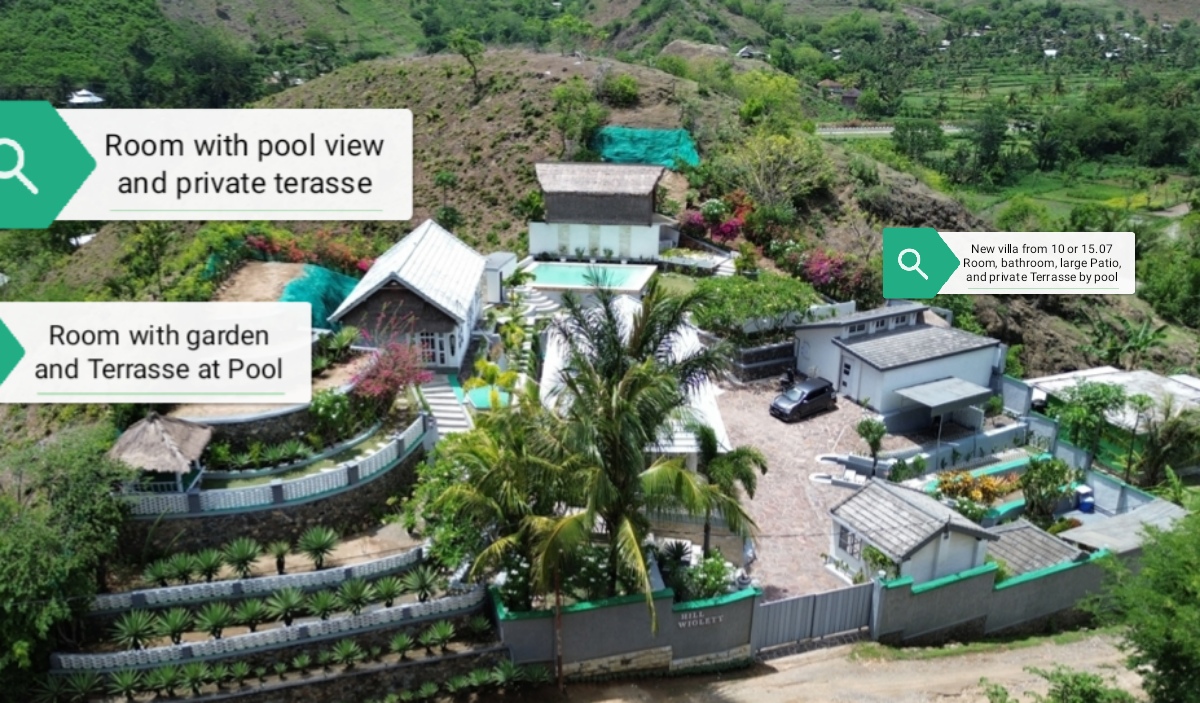 public overview